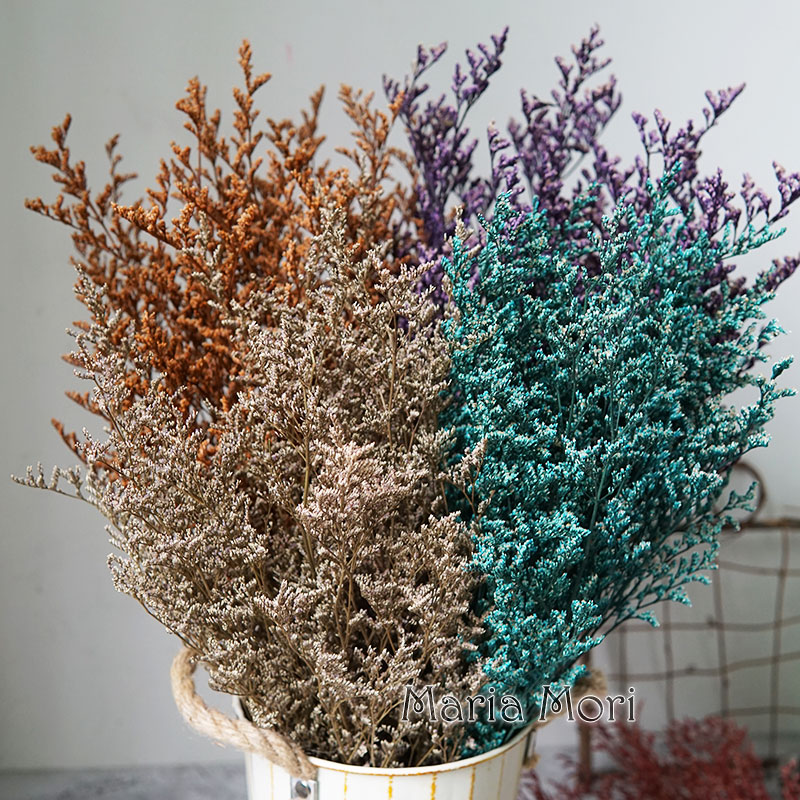 Eucalyptus Preserved - 70g/Rumput Valentine Awet Bunga Limonium Rumput