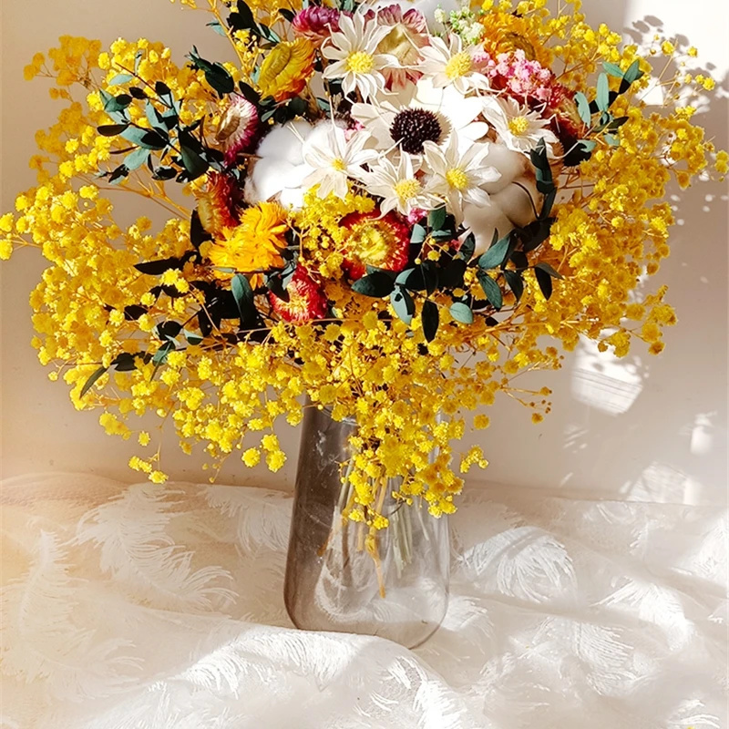 Baby Breath Dried - Buket Nafas Bayi Diawetkan Segar Gypsophila