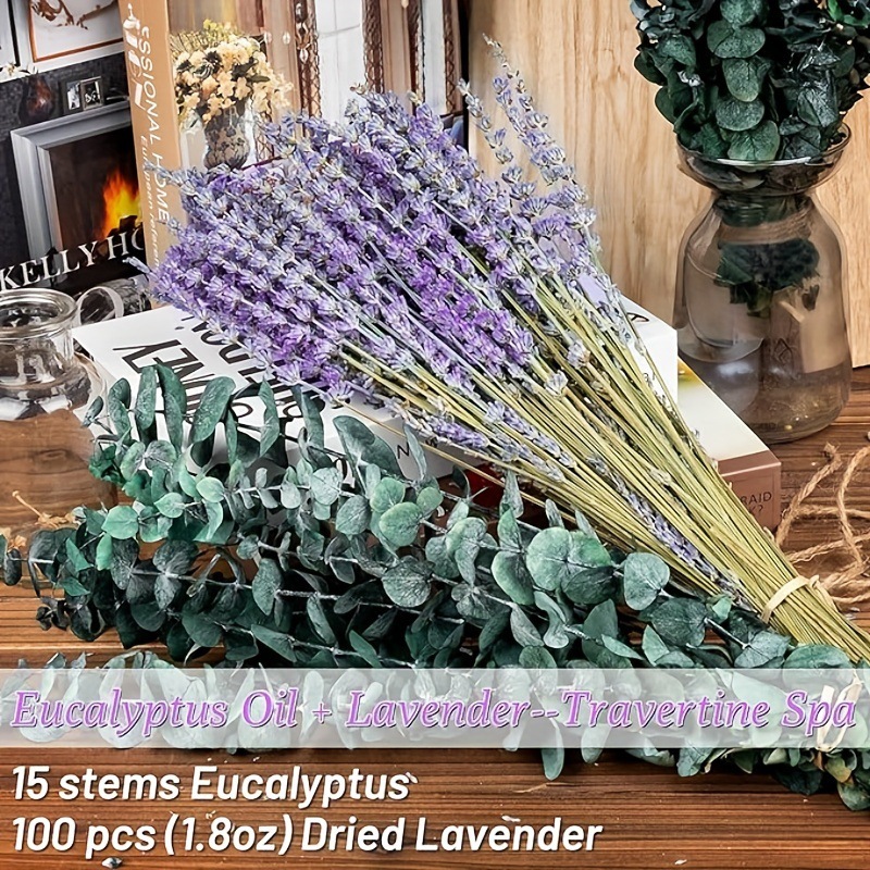 Eucalyptus Preserved - Buket Kering Lavender & Eucalyptus yang