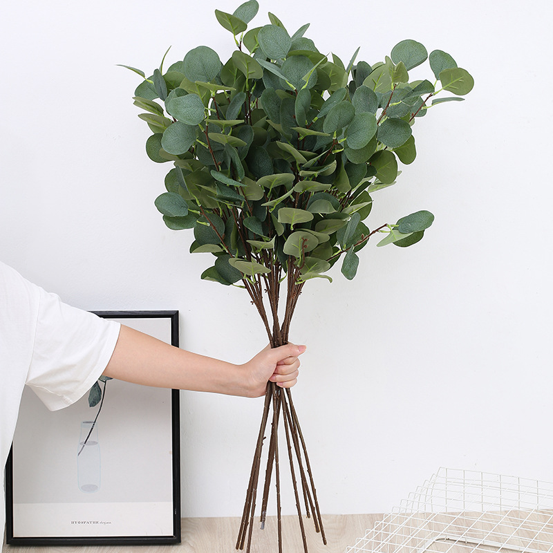 Eucalyptus Preserved - 1 Buah Cabang Daun Apel Eucalyptus