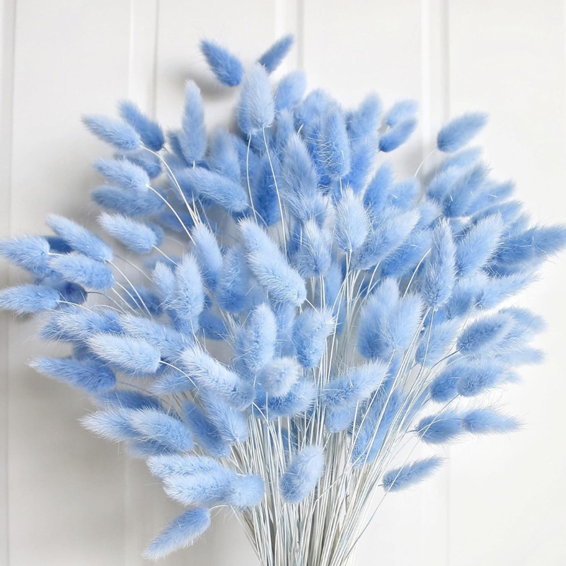 Eucalyptus Preserved - 100 Buah Ekor Kelinci Biru Rumput