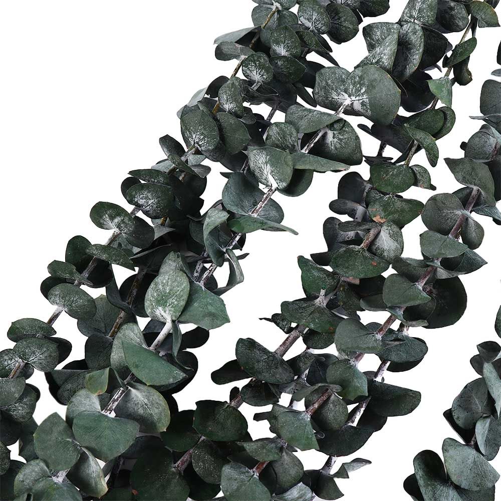 10 Buah Daun Eucalyptus Kering - Eucalyptus Preserved ulasan dan harga
