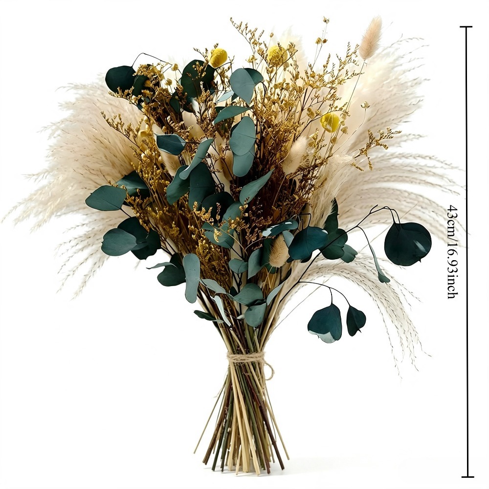 Buket Rumput Pampas Kering Ala - Eucalyptus Preserved ulasan dan harga