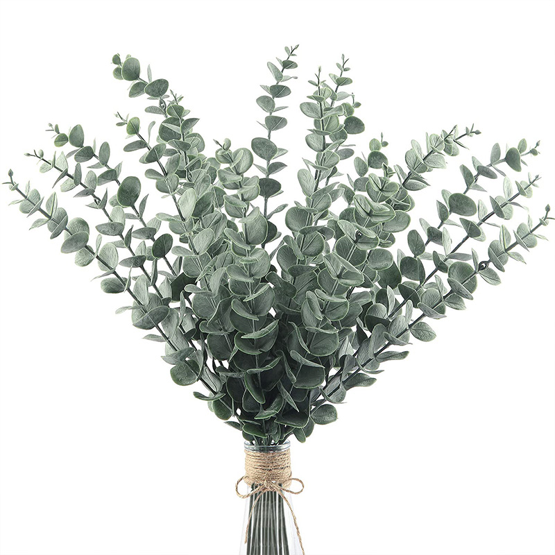 20 buah batang kayu putih buat - Eucalyptus Preserved ulasan dan harga