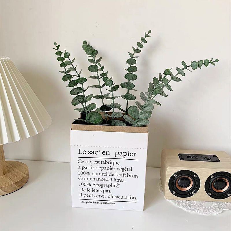 20 buah batang kayu putih buat - Eucalyptus Preserved ulasan dan harga