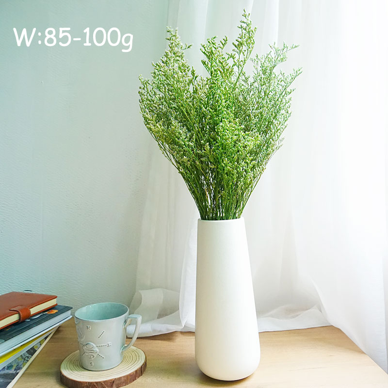 70g/Rumput Valentine Awet Bung - Eucalyptus Preserved ulasan dan harga