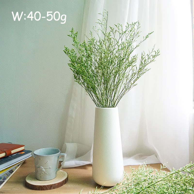 70g/Rumput Valentine Awet Bung - Eucalyptus Preserved ulasan dan harga
