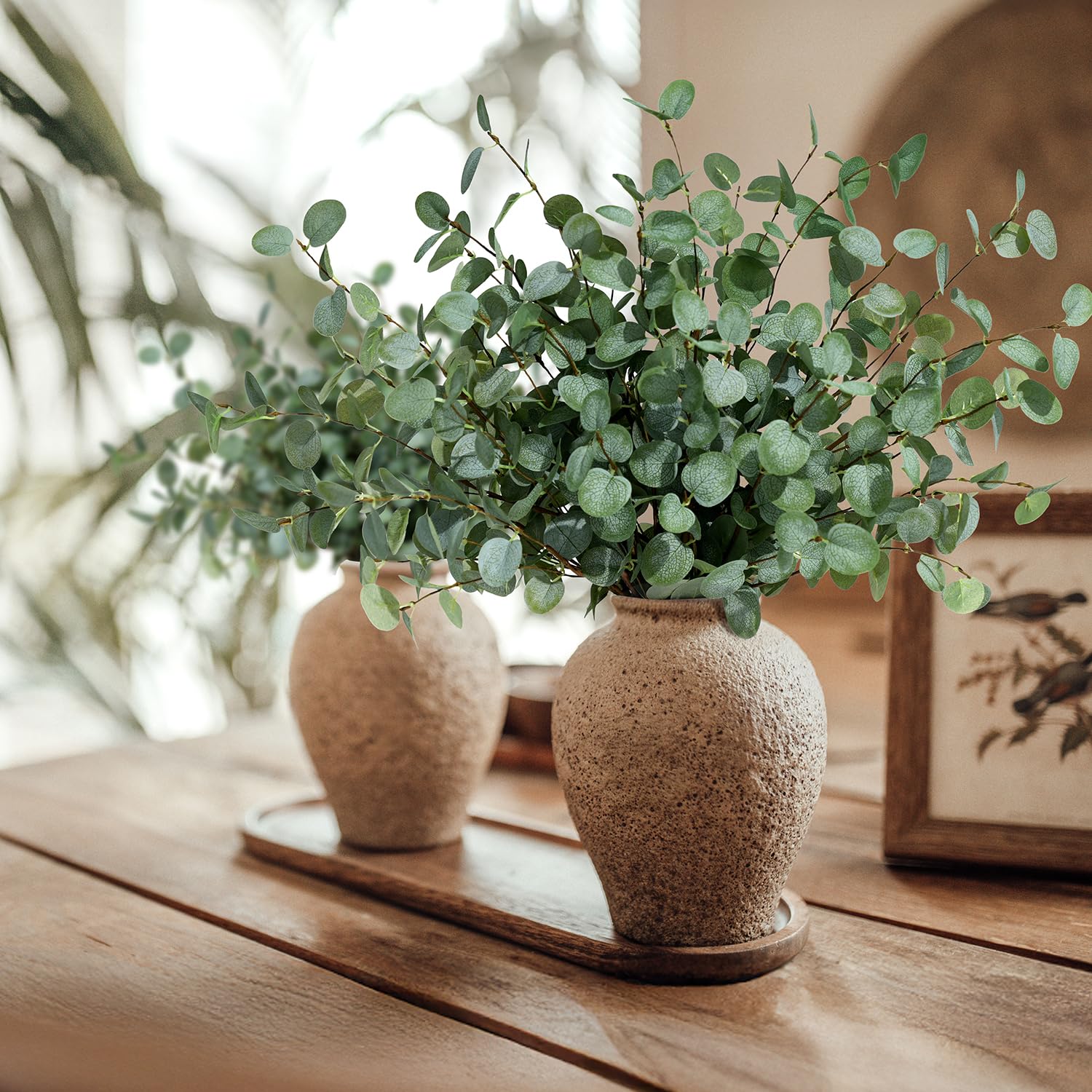 Batang Eucalyptus Palsu Tanama - Eucalyptus Preserved ulasan dan harga