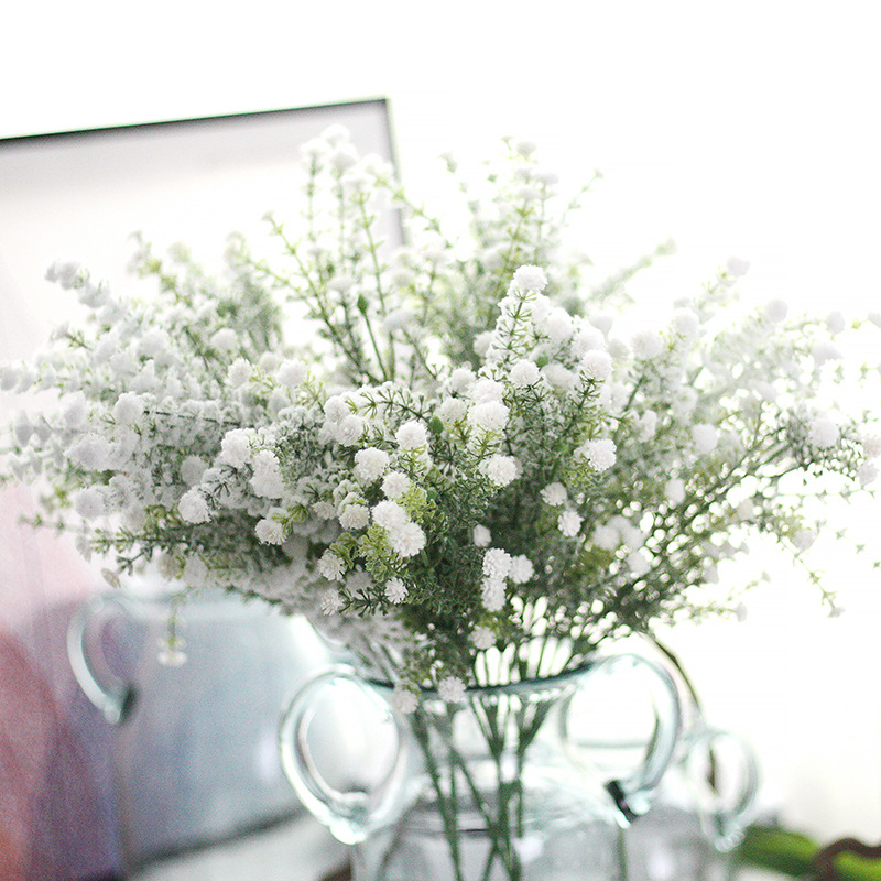 Tanaman Bunga Baby Breath Baby - Baby Breath Dried ulasan dan harga