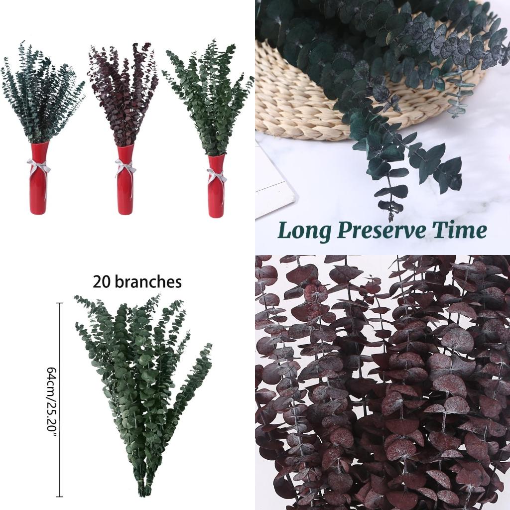20 Buah Buket Daun Tanaman Bat - Eucalyptus Preserved ulasan dan harga