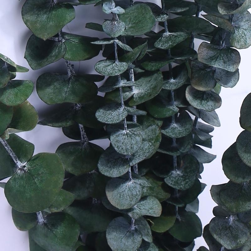 20 Buah Buket Daun Tanaman Bat - Eucalyptus Preserved ulasan dan harga