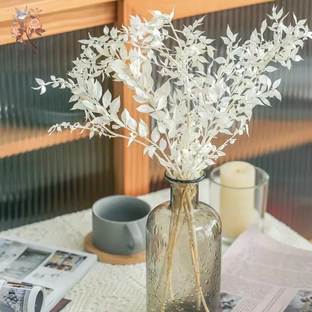 50G Bunga Kering Buatan Buket  - Eucalyptus Preserved ulasan dan harga