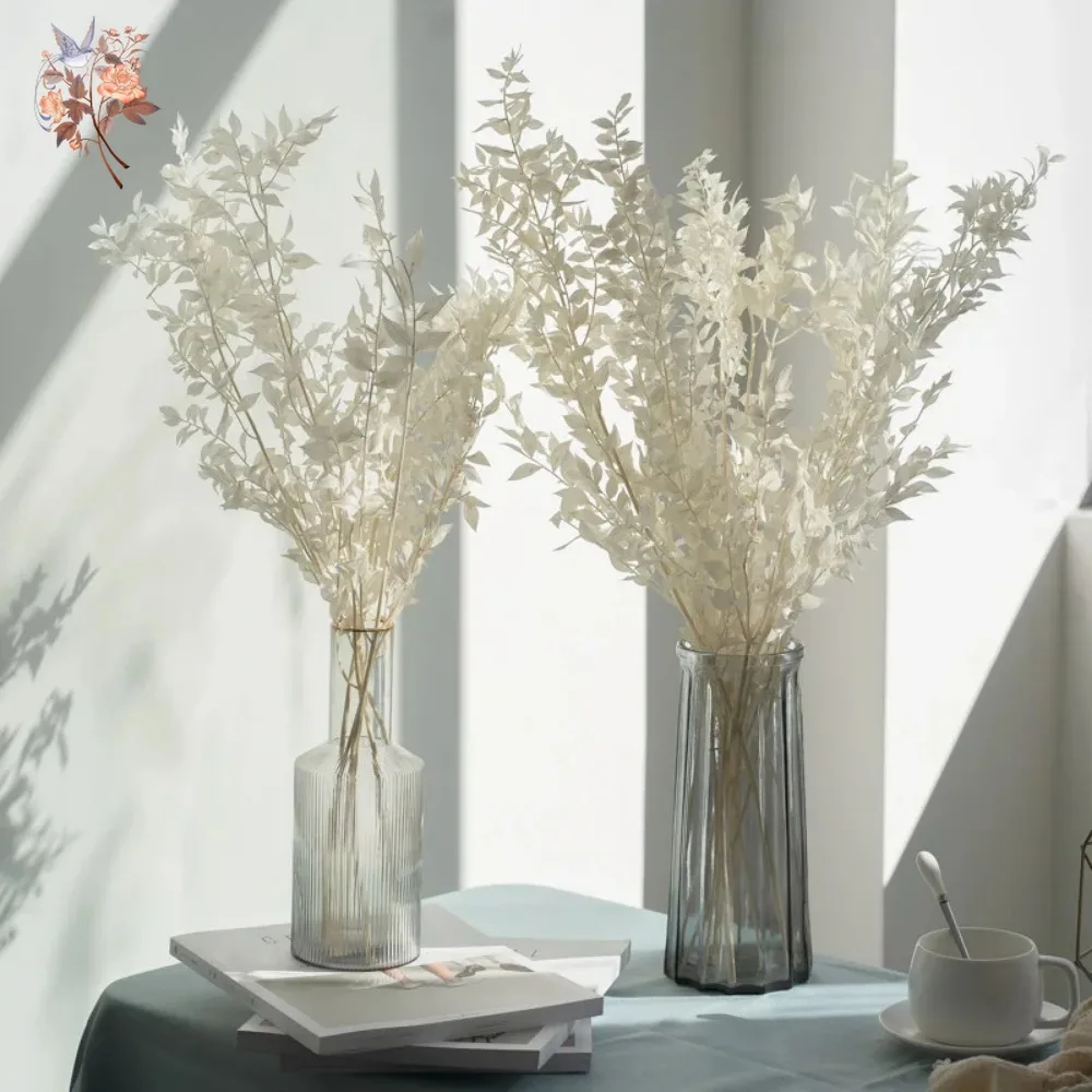 50G Bunga Kering Buatan Buket  - Eucalyptus Preserved ulasan dan harga