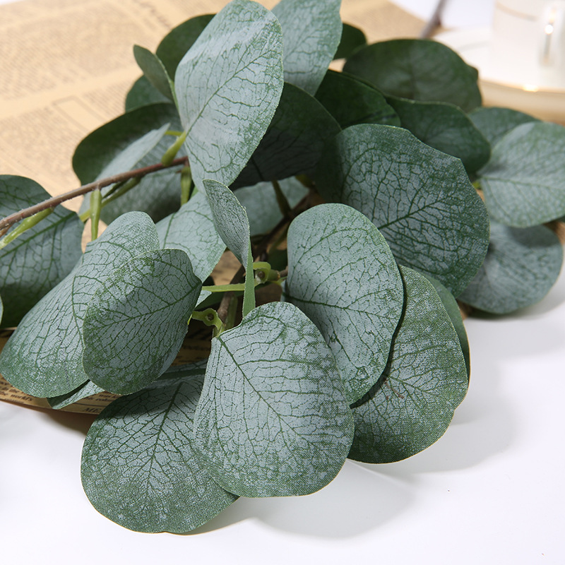 1 Buah Cabang Daun Apel Eucaly - Eucalyptus Preserved ulasan dan harga