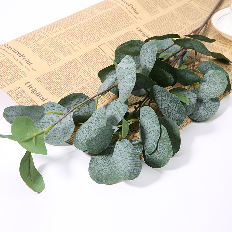 1 Buah Cabang Daun Apel Eucaly - Eucalyptus Preserved ulasan dan harga