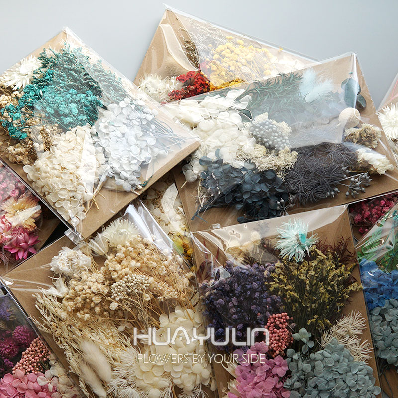 1 Pak tanaman buatan bunga asl - Baby Breath Dried ulasan dan harga
