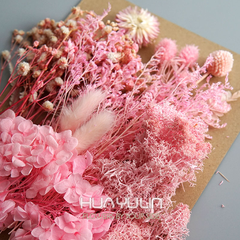 1 Pak tanaman buatan bunga asl - Baby Breath Dried ulasan dan harga