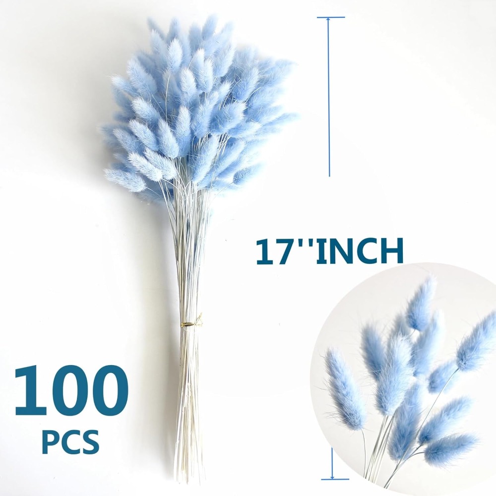100 Buah Ekor Kelinci Biru Rum - Eucalyptus Preserved ulasan dan harga