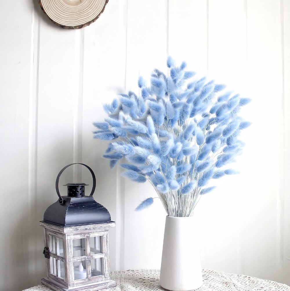 100 Buah Ekor Kelinci Biru Rum - Eucalyptus Preserved ulasan dan harga