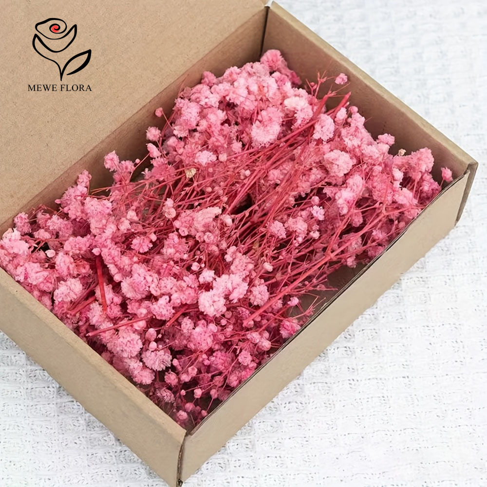 100 Cabang Kecil Bunga Nafas B - Baby Breath Dried ulasan dan harga