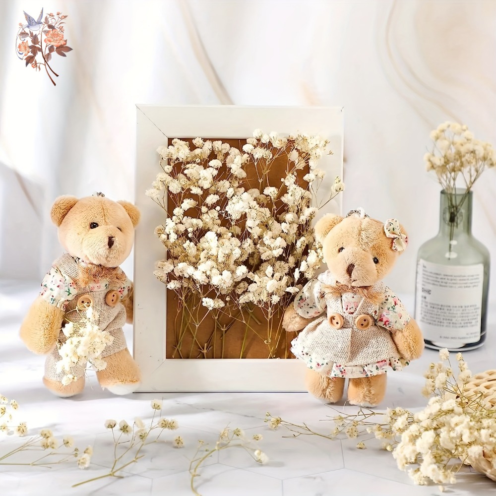 100pcs Bunga Baby's Breath Ker - Baby Breath Dried ulasan dan harga